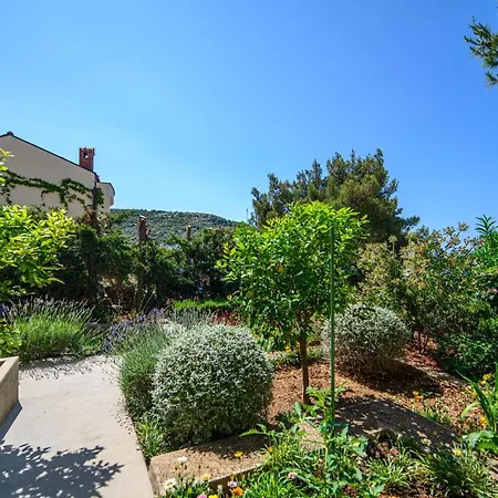 Apartman Andrea Primošten