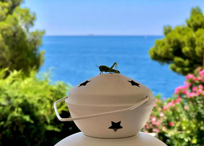 Andrea Apartman Primošten