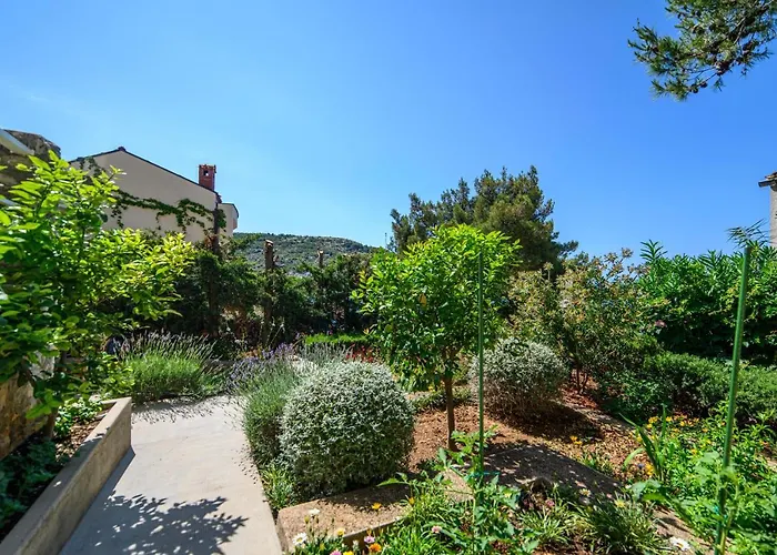 Apartament Andrea Primošten