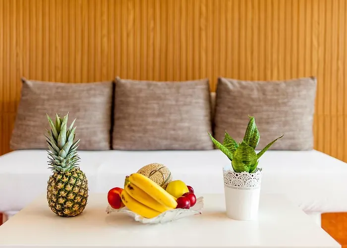 Apartman Andrea Primošten